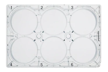 德國艾本德Eppendorf CCCadvanced? FN1,6-well,帶蓋,平底,無菌,無熱原,無RNase和DNase,無人類和細菌 DNA,無細胞毒素